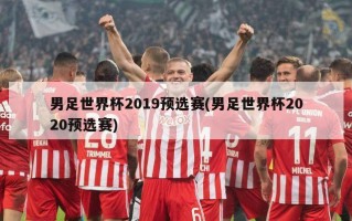 男足世界杯2019预选赛(男足世界杯2020预选赛)