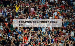 中国队世界杯(中国队世界杯预选赛2023赛程)