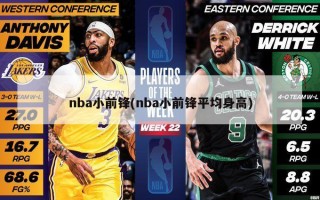 nba小前锋(nba小前锋平均身高)